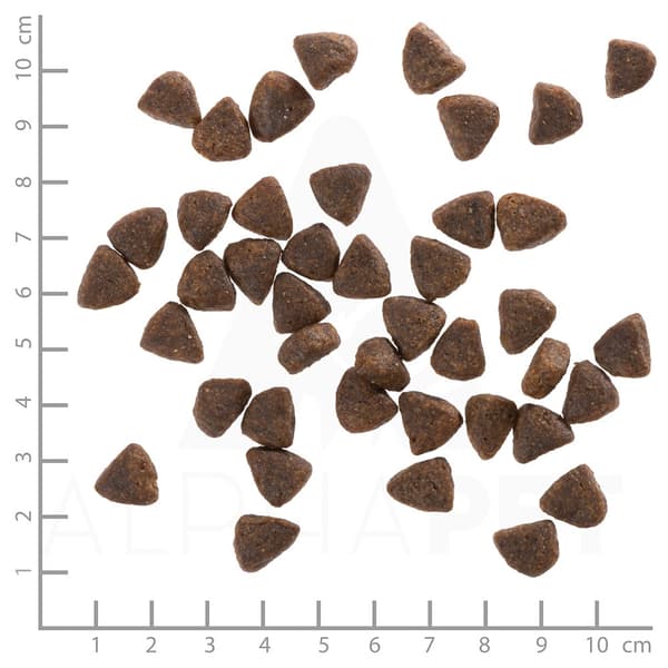 WOLFSBLUT Vildand And med kartofler - tørfoder til hunde - 12,5 kg