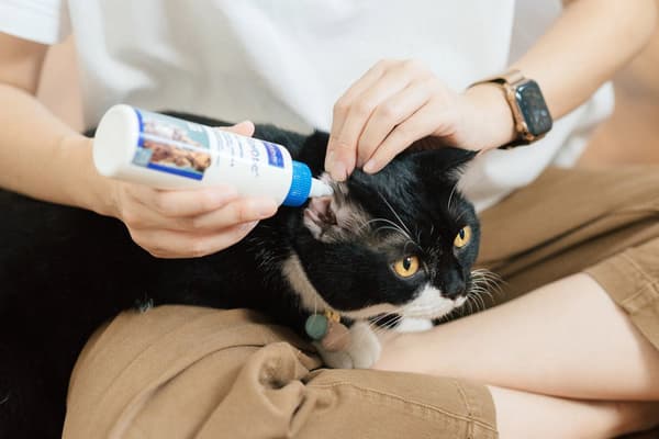 VIRBAC EpiOtic Ørerensemiddel - væske til ørepleje til hunde og katte - 125 ml