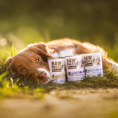 VETEXPERT Raw Paleo Adult Monoprotein Kalkun - vådfoder til hunde - 400 g
