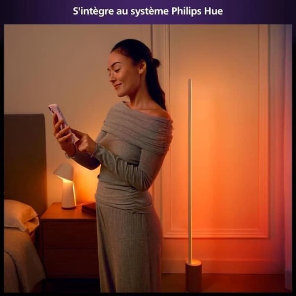 PHILIPS Hue W -verkkovalaisin