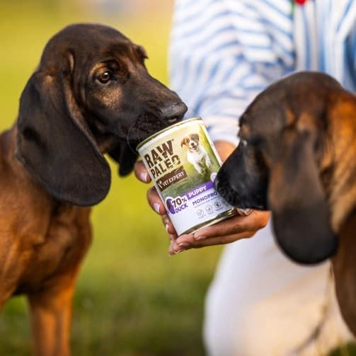 VETEXPERT Raw Paleo Adult Monoprotein And - vådfoder til hunde - 800 g