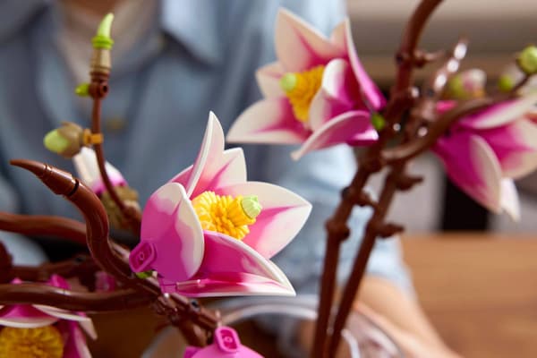 LEGO BOTANICALS 11510 Magnoliegrene