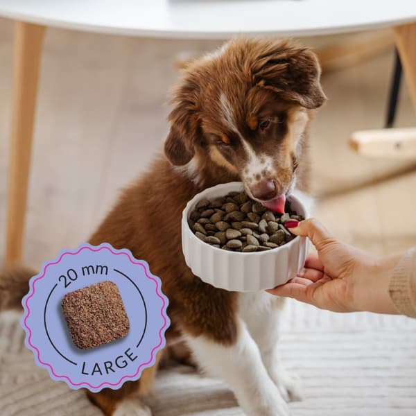 ADDVENA Boosted by superfoods Junior Medium/Large Beef - tørfoder til hunde - 10 kg