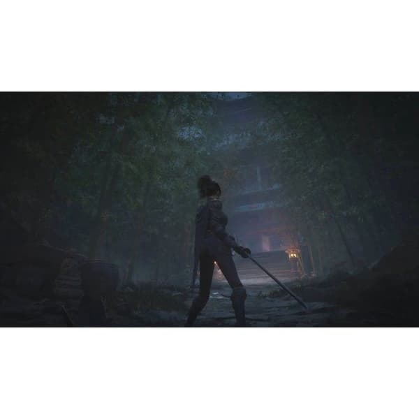 WUCHANG: Fallen Feathers – PS5-spel
