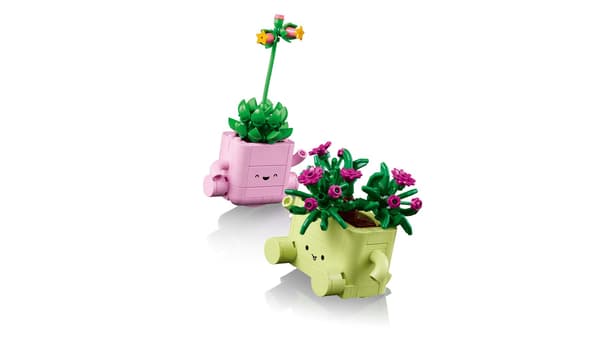LEGO BOTANICALS 11506 Gungande växter