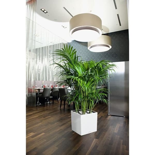LECHUZA Cube Premium 40 blomkruka - komplett set, blank vit