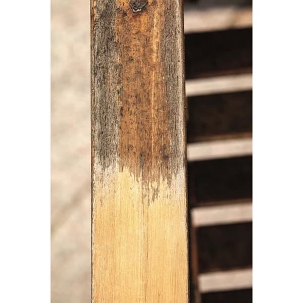 Scheppach Renovator ja Nylon Superal Bross