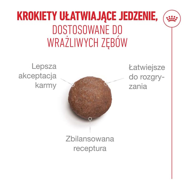 ROYAL CANIN Aging 11+ Sterilized - torrfoder för katter - 4 kg