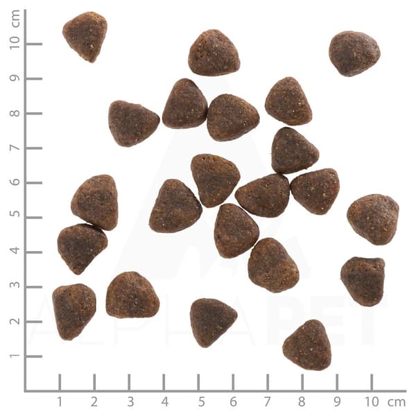 WOLFSBLUT Wide Plain Horse - torrfoder för hundar - 2 kg