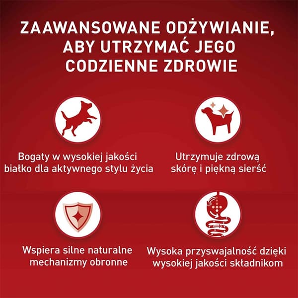 PURINA One Mini/Small Active Rig på kylling med ris - tørfoder til hunde - 800 g
