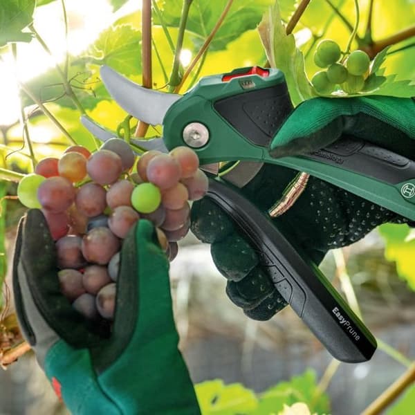 EasyPrune batteridrevne beskæresakse - Bosch