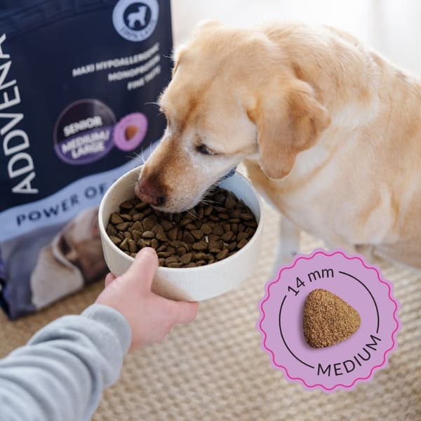 ADDVENA Power of Nature Senior Medium/Large Lam - tørfoder til hunde - 10 kg