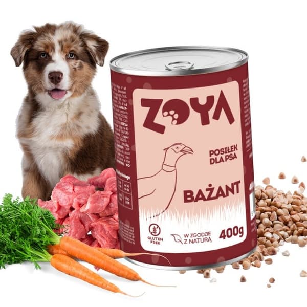 ZOYA Fasan - våtfoder för hundar - 400 g