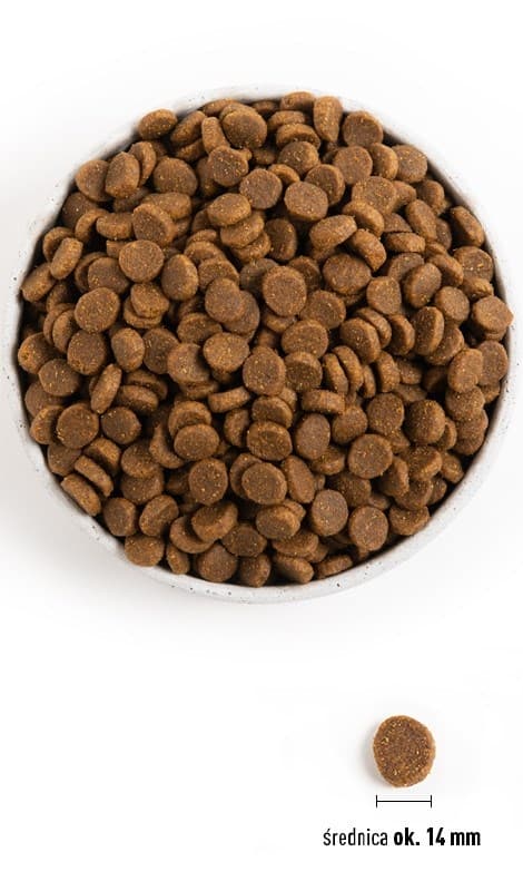 ACANA Senior - torrfoder för hundar - 11,4 kg