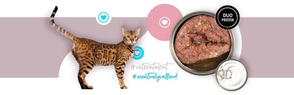 3COTY 24. Kalkun og gås - vådfoder til katte - 180 g