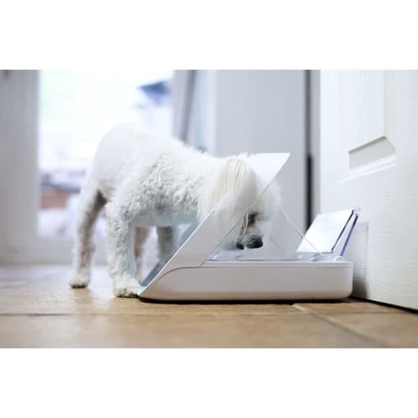 Connect Foderautomat - Hvid - Til katte