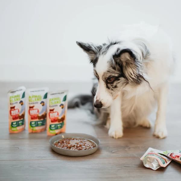 ANIMAL ISLAND Oksefileter i bouillon - vådfoder til hunde - 10x150g