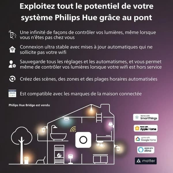 PHILIPS Hue W -verkkovalaisin