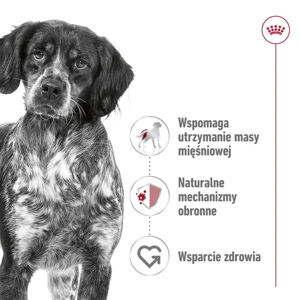 ROYAL CANIN Medium Loaf - våtfoder för hundar - 410 g