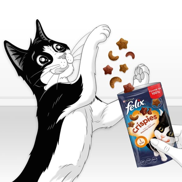 FELIX Crispies Oksekød, Kylling - tørfoder til katte - 45 g