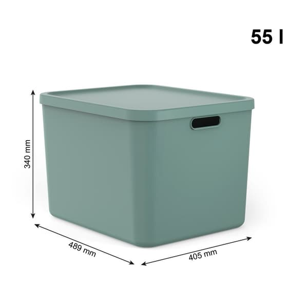 Rotho Albula Multibox 55L Mistelgrön