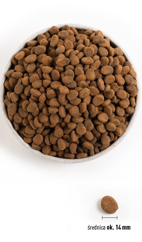 ORIJEN Regional Red - tørfoder til hunde - 2 kg