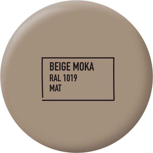 Multifunktionsfärg - Mocha Beige - RAL 1019 - Matt - Ripolin - 2L