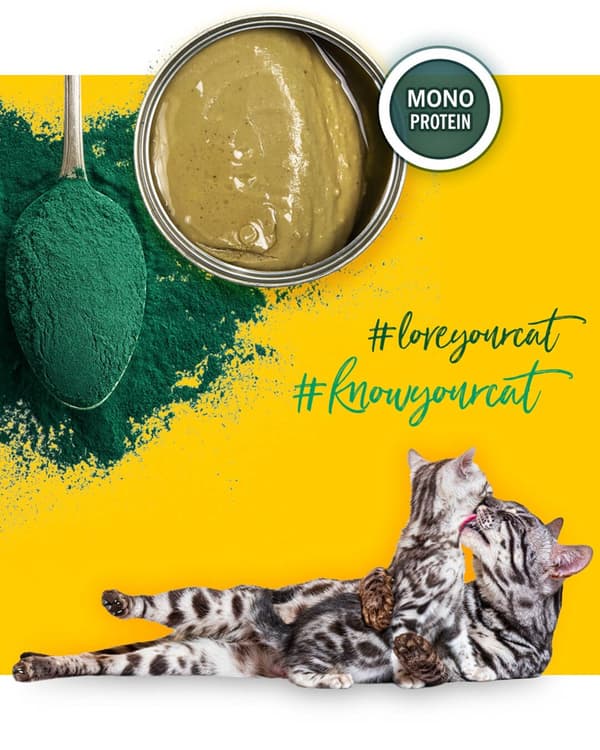 3COTY Kylling med spirulina Til killinger og diegivende katte - vådfoder til katte - 80 g