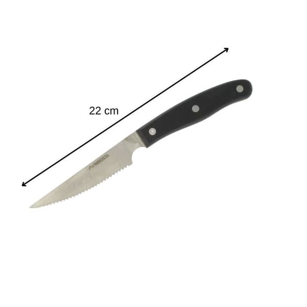 6 pihviveitsen setti - NIROSTA - 22 cm