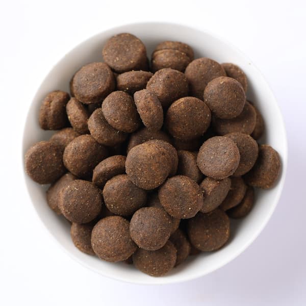 FARMINA Pumpa N&D Kastrerad vaktel - torrfoder för katter - 5 kg