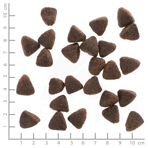 WOLFSBLUT Jack Rabbit - tørfoder til hunde - 12,5 kg