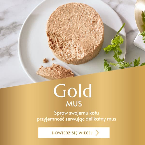 PURINA Gourmet Gold Mousse med lax - våtfoder för katter - 85 g