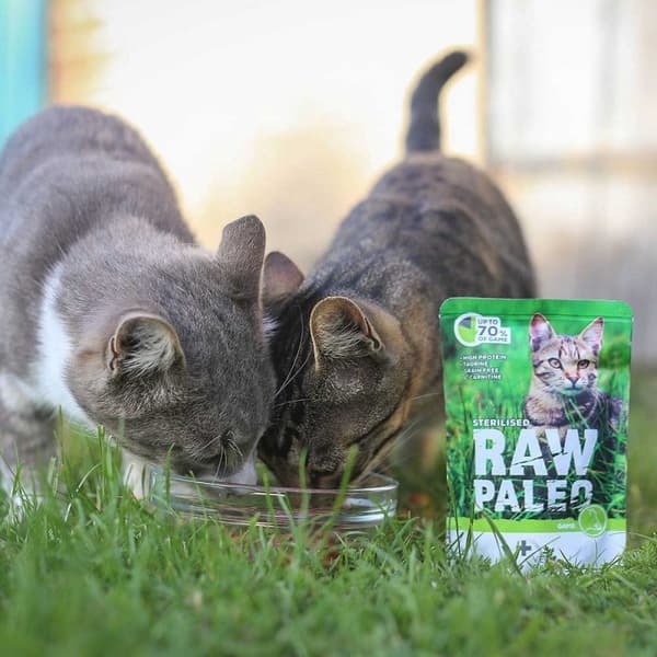 VETEXPERT Rå Paleo Voksen Kat Steriliseret Vildt - vådfoder til katte - 100 g