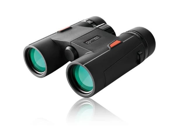 AZIMUTH Sokon 8x32 B