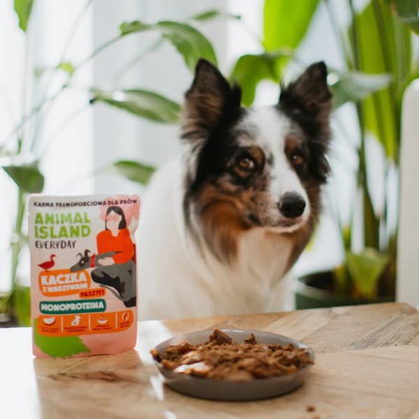 ANIMAL ISLAND Everyday Monoprotein And - vådfoder til hunde - 300 g