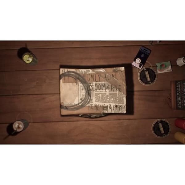 Lost Records Bloom and Rage - PS5-spil