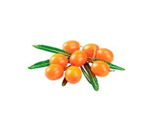 SHELMA Rik på kalkon i sås - våtfoder för katter - 85 g