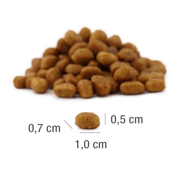 PLATINUM MeatCrisp Adult Fish - torrfoder för katter - 1,5 kg