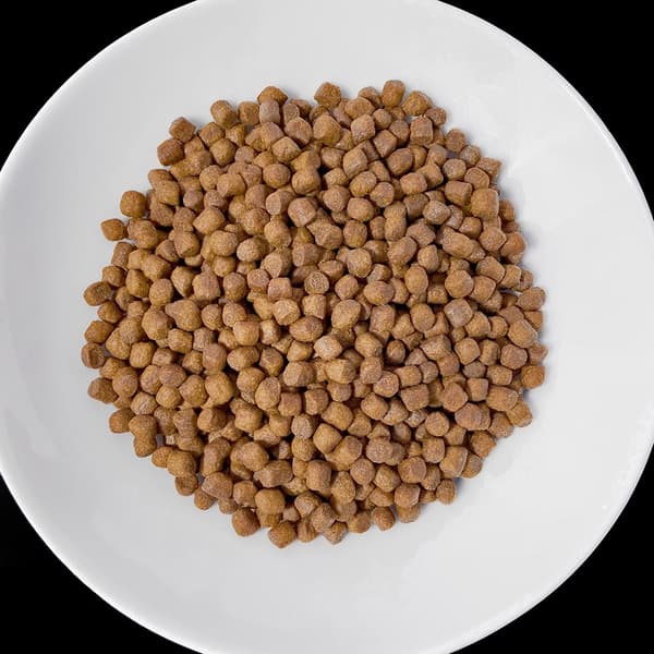VET RESPONSE Renal - tørfoder til hunde - 1,6 kg
