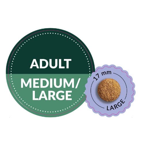 ADDVENA Taste Sensations Adult Medium/Stor Kalkun - tørfoder til hunde - 10 kg