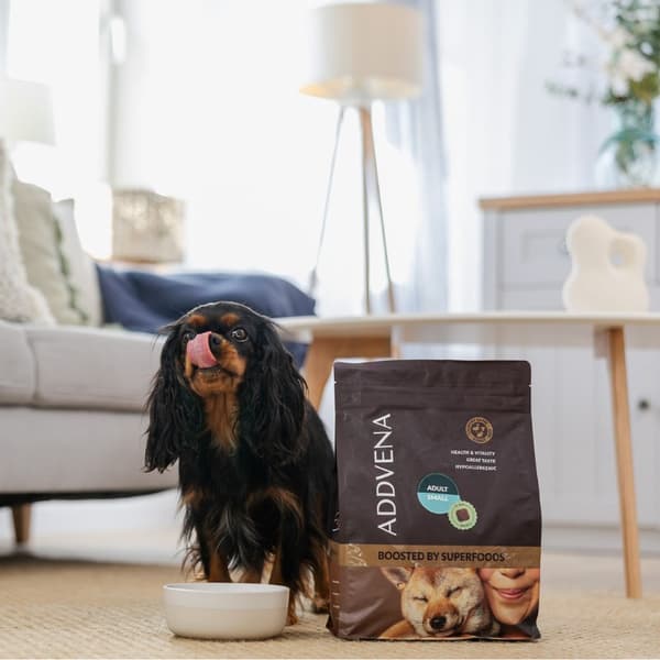 ADDVENA Boosted by superfoods Adult Small Beef - tørfoder til hunde - 10 kg