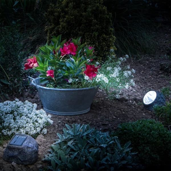 GALIX Solar Polyresin Spot: Kivi