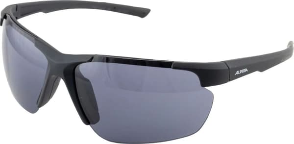 ALPINA DEFEY HR solbriller, farve: SORT MATT, linser: sort, Kat. 3