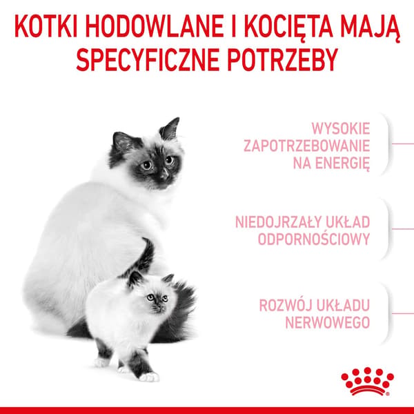 Royal Canin Mother & Babycat torrfoder för katter 2 kg