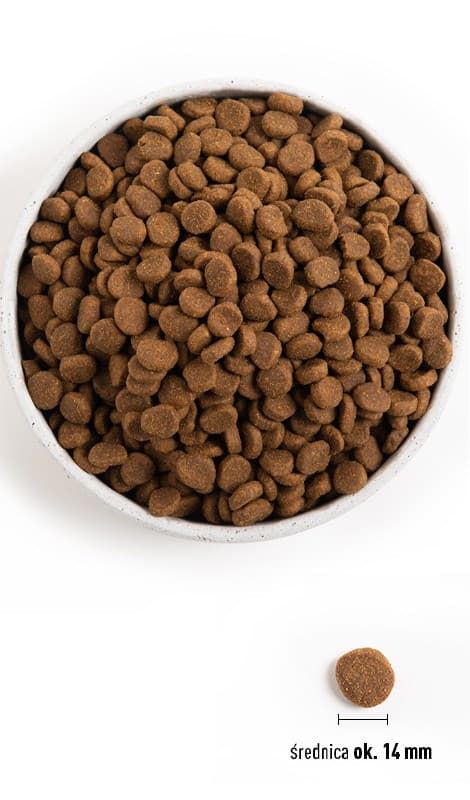 ORIJEN Original - tørfoder til hunde - 2 kg