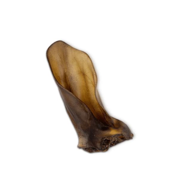 UNISZKI Medium Okseøre - Hundegodbidder - 1 Stk.