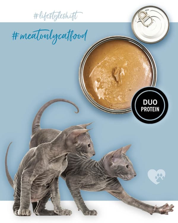 3COTY Kalkon med kyckling För kattungar - våtfoder för katter - 80 g