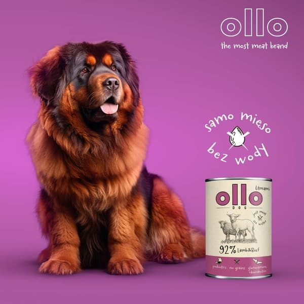 OLLO Umami Lamm- och nötkött - våtfoder för hundar - 850 g
