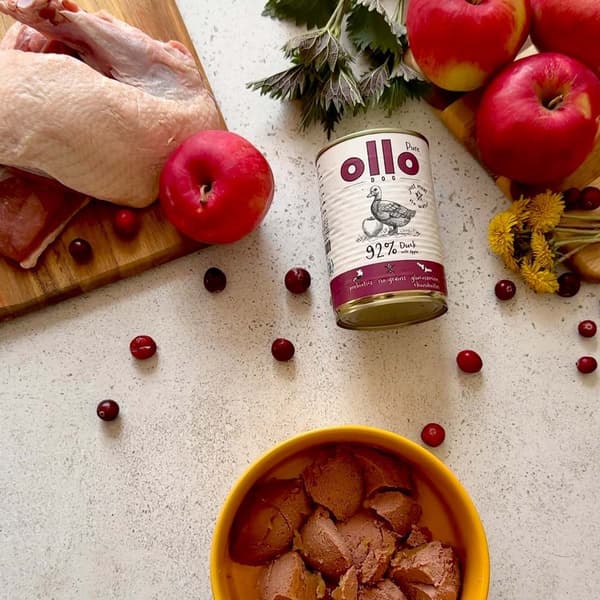 OLLO Pure And med æble - vådfoder til hunde - 400 g