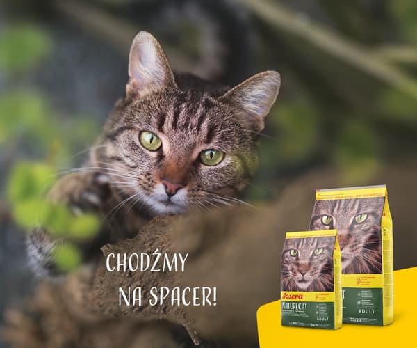 Josera NatureCat torrfoder för katter 2 kg Vuxenfjäderfä, Lax